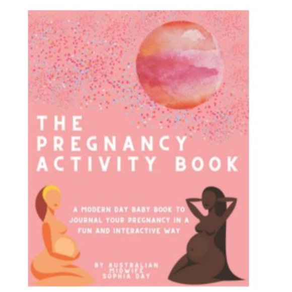 NEW The Pregnancy Activity Book - Picture 1 of 1